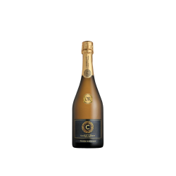 Champagne Cuvee Riserva Brut 0,75l, Charles Clément - kopie